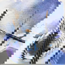 Brushes