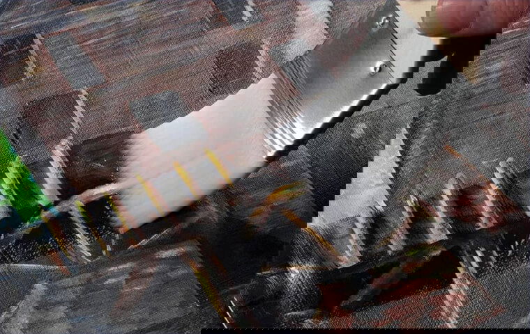 Retouch Varnish Demystified: Essential Tips and Techniques New